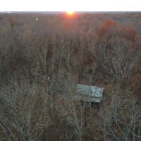 60 acres - and Hunting Cabin for sale in Carter County MO images 2