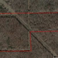 60 acres - and Hunting Cabin for sale in Carter County MO images 3