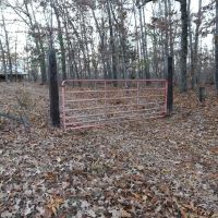 60 acres - and Hunting Cabin for sale in Carter County MO images 4