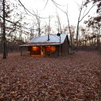 60 acres - and Hunting Cabin for sale in Carter County MO images 5