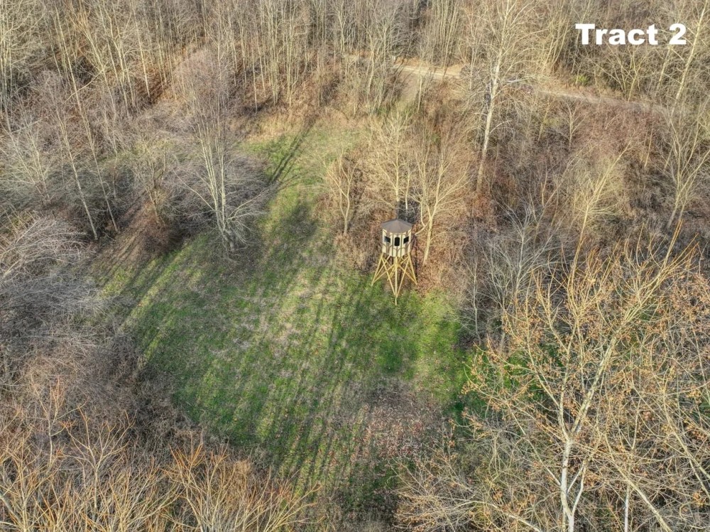 Auction - 88 acres - Guernsey County featured image