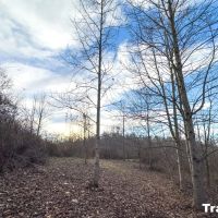 Auction - 88 acres - Guernsey County images 3