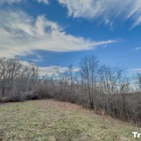 Auction - 88 acres - Guernsey County images 4