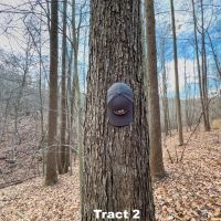 Auction - 88 acres - Guernsey County images 5