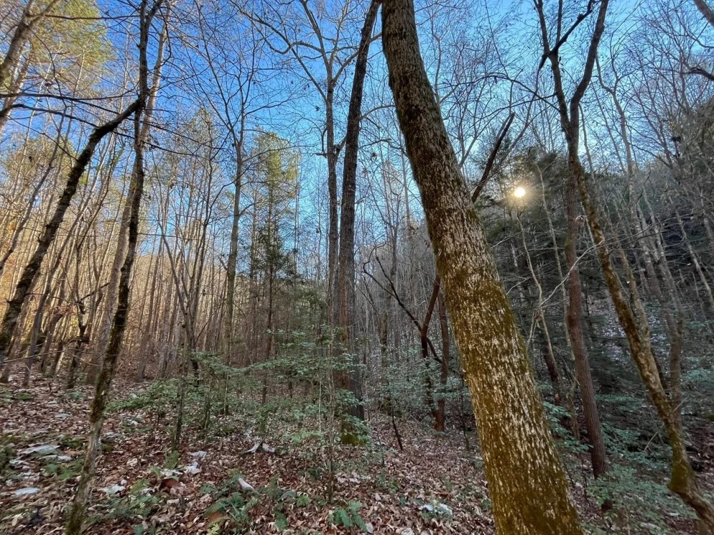 Hoggle Ridge featured image