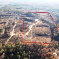 Franklin County AL 42.5 ac tract