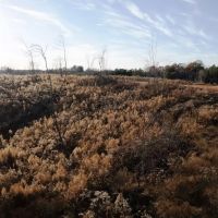 Franklin County AL 42.5 ac tract images 3