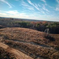 Franklin County AL 42.5 ac tract images 5