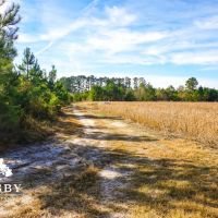 Robertson Farm images 2
