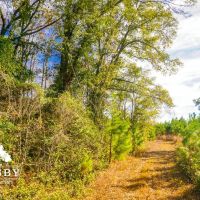 Robertson Farm images 3