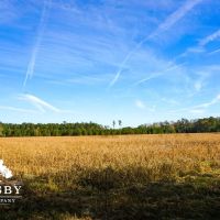 Robertson Farm images 5