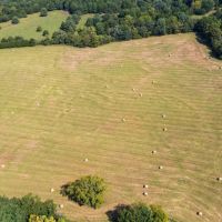 Improved Pasture And Hay Tract With Build Sites And Panther Creek Frontage Property images 3