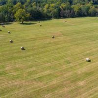 Improved Pasture And Hay Tract With Build Sites And Panther Creek Frontage Property images 4