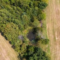 Improved Pasture And Hay Tract With Build Sites And Panther Creek Frontage Property images 5