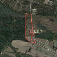 18.47 acres of Residential and Recreational Timberland For Sale in Pitt County NC
