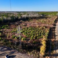 18.47 acres of Residential and Recreational Timberland For Sale in Pitt County NC images 5