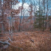 Chambo Ridge 15 images 5