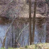 Private Michigan Acres w Canoe Access 50128888 images 2