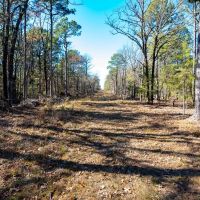 Pine Creek Ranch images 2