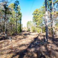 Pine Creek Ranch images 3