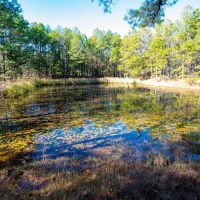 Pine Creek Ranch images 4