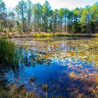Pine Creek Ranch images 5