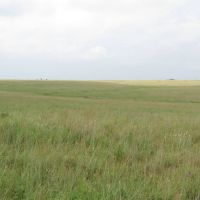 Bartlesville 160 Acres images 3