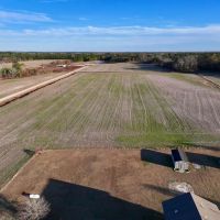 180.56 acres of Residential and Recreational Timberland For Sale in Pitt County NC images 3