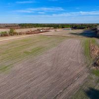 180.56 acres of Residential and Recreational Timberland For Sale in Pitt County NC images 4