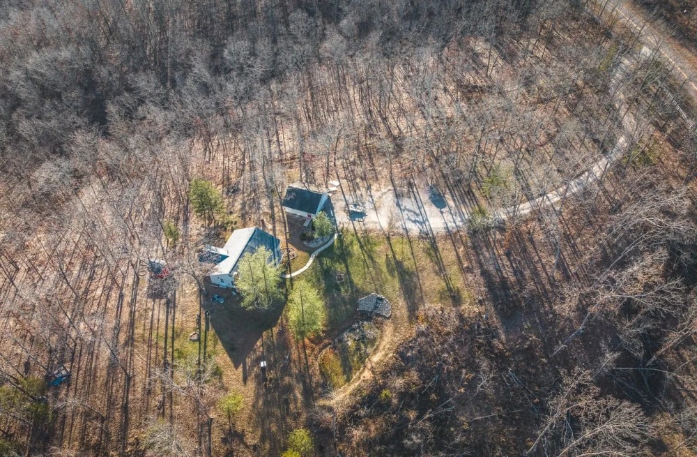 Cottage in the Hollow featured image
