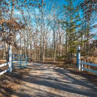 Cottage in the Hollow images 3