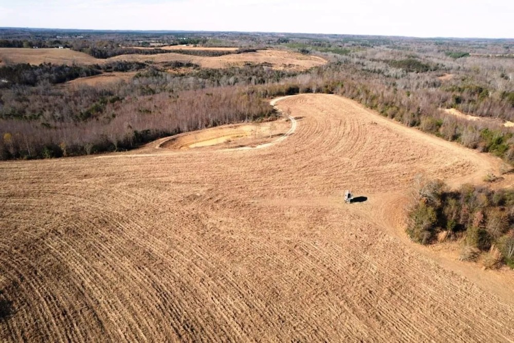 260 Acre Bear Creek Farm featured image