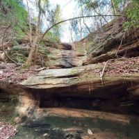 260 Acre Bear Creek Farm images 2