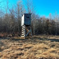 260 Acre Bear Creek Farm images 3