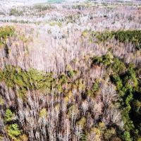 260 Acre Bear Creek Farm images 4