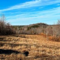 260 Acre Bear Creek Farm images 5