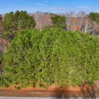1.24 acres of Residential and Recreational Timberland For Sale in Pamlico County NC images 2