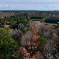 1.24 acres of Residential and Recreational Timberland For Sale in Pamlico County NC images 5