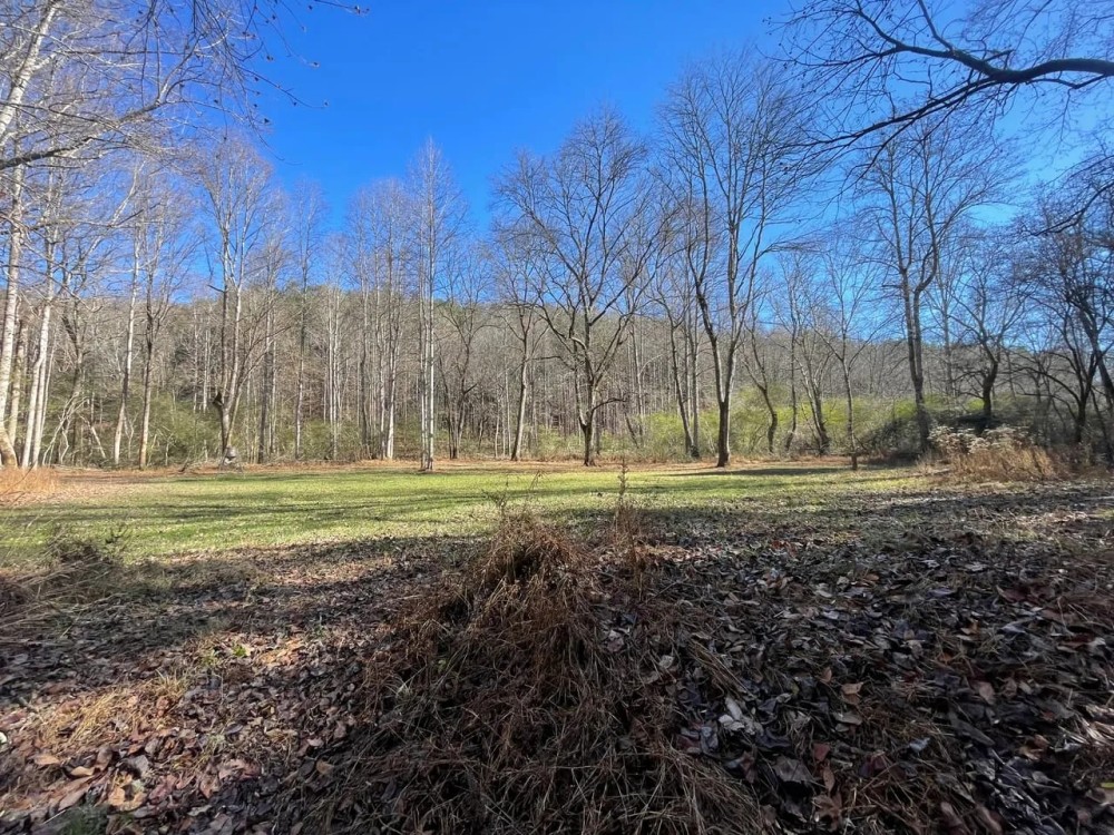 492 Acre Timber and Recreational Tract in Winston County featured image