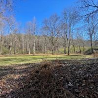 492 Acre Timber and Recreational Tract in Winston County