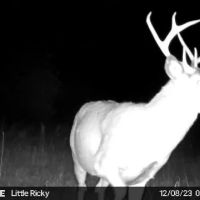Dawson County Sportman s Haven images 3