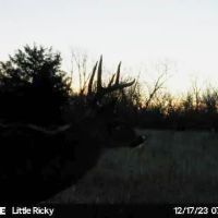 Dawson County Sportman s Haven images 4