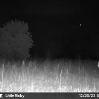 Dawson County Sportman s Haven images 5