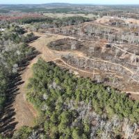93 Ac Timber Residential Hunting Tract in Roopville GA images 2