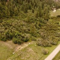 Pine Spring Ranch Splendor images 3