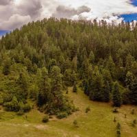 Pine Spring Ranch Splendor images 4