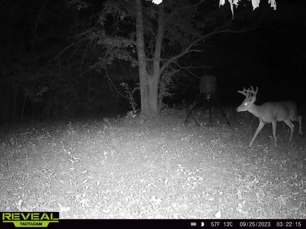 130 acres of hunting land in Autauga County featured image