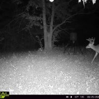 130 acres of hunting land in Autauga County