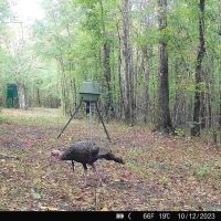130 acres of hunting land in Autauga County images 2