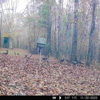 130 acres of hunting land in Autauga County images 3